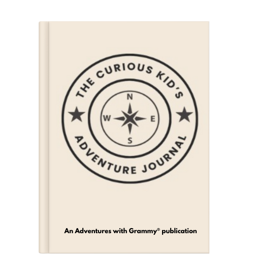 HelpMeDecideCuriousKidJournal (10)